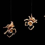 Spiders. לוס טריוס עכבישוס במופע סנפלינג